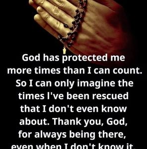 Meet your Posher, Armida